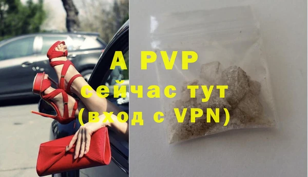 индика Баксан