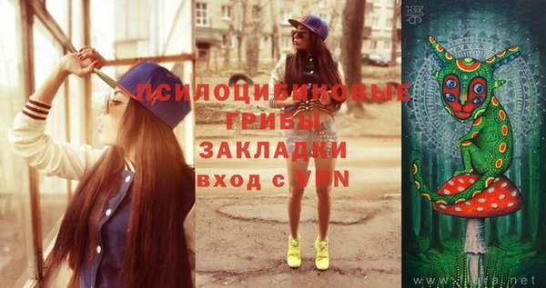индика Баксан