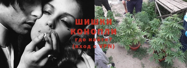 индика Баксан