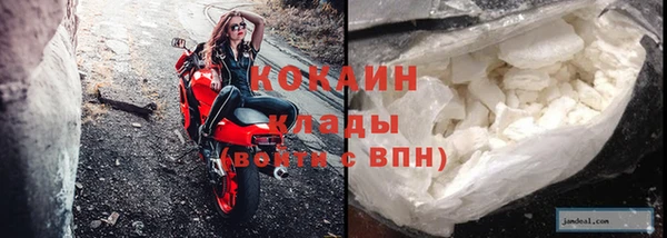 индика Баксан