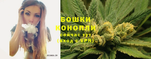 стаф Балабаново
