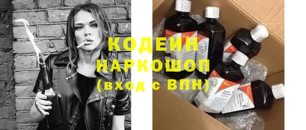 индика Баксан